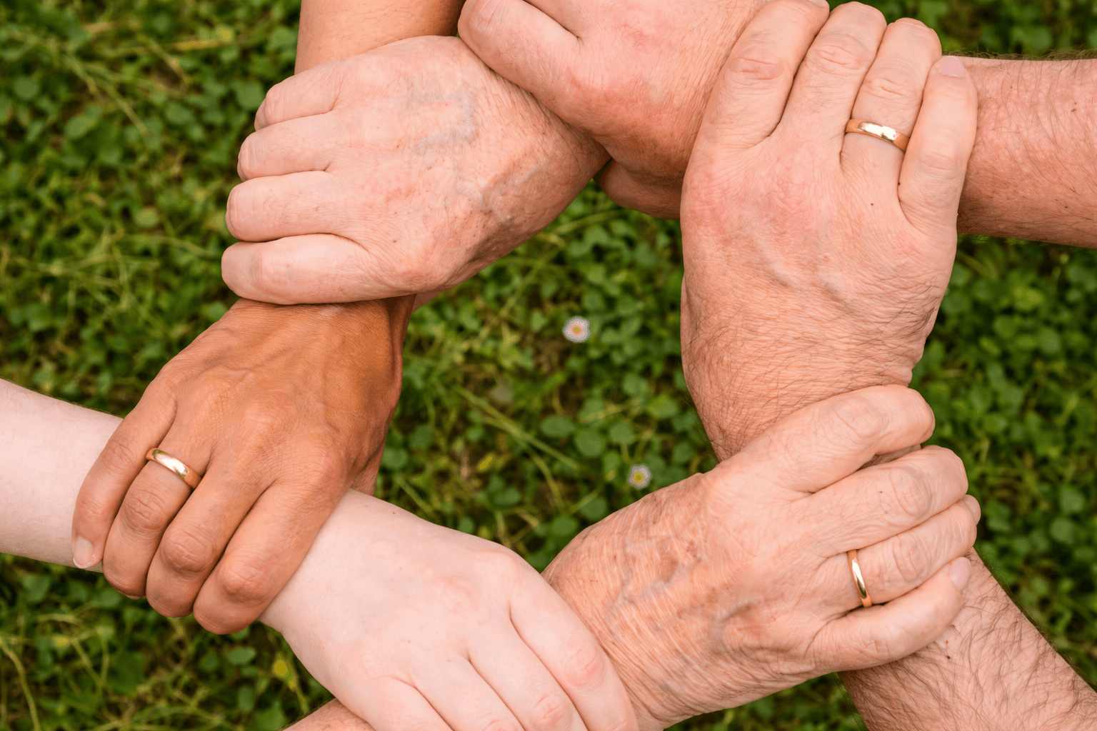 Benefit and family allowance in Poland for Ukrainians